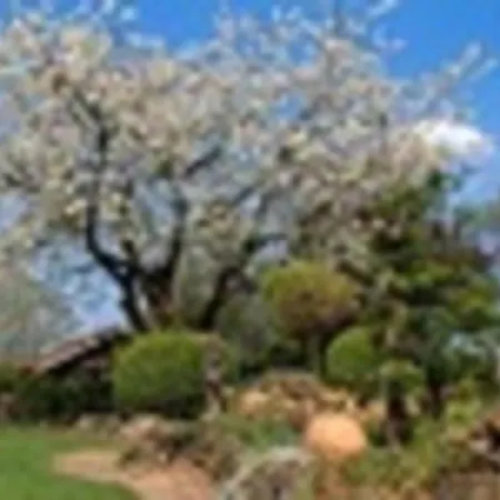 Familienhof Bruening - Waldblick